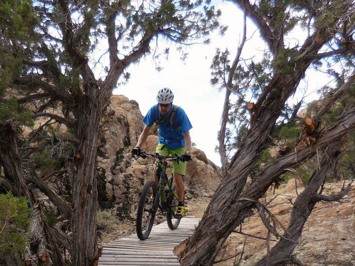 mountain bikes