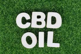 CBD Oils