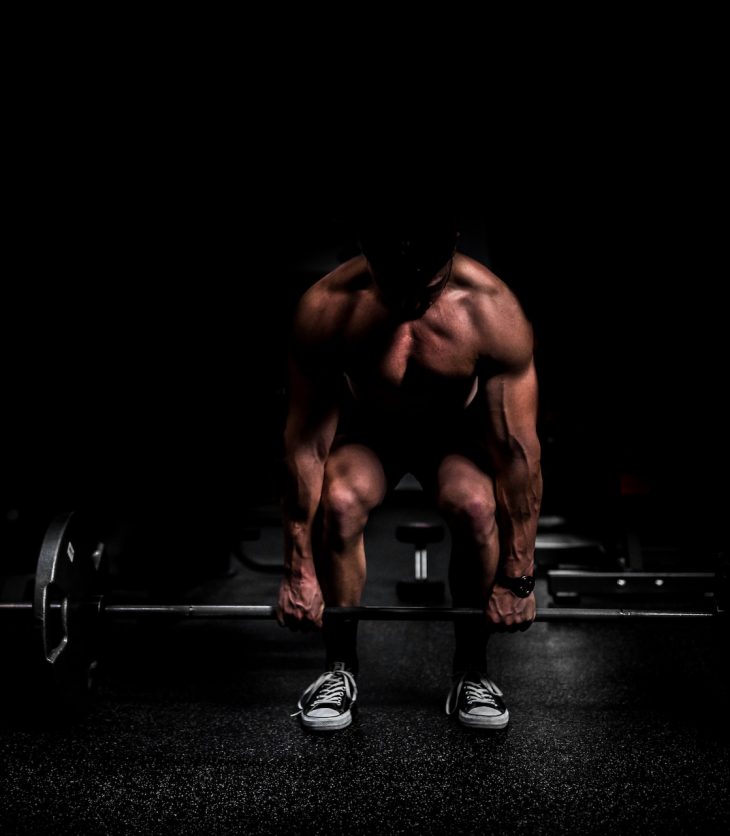 muscle